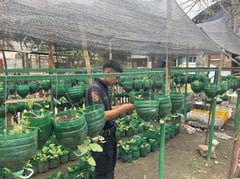 CHR cites first Metro green camp